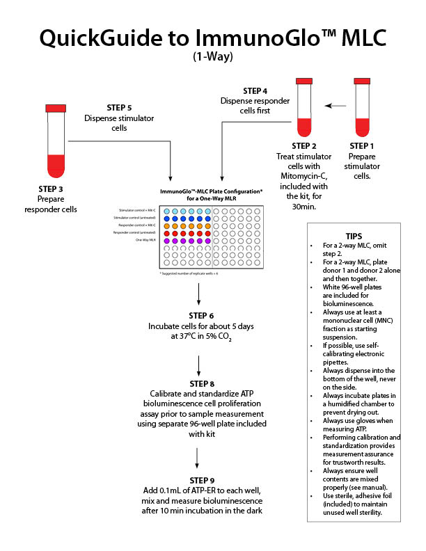 Bioluminescence 1- or 2-Way Mixed Lymphocyte Culture (MLC) Assay